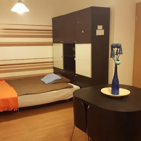 City Center Apartman 아파트 *