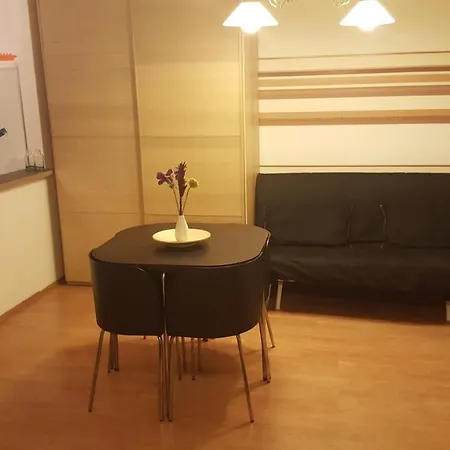 아파트 City Center Apartman 부다페스트
